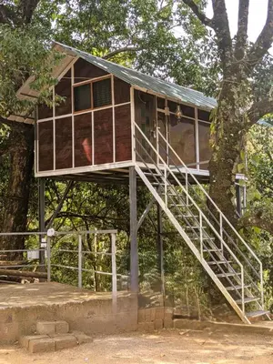 a tree house in a tree at Ashokavanam Heritage Village by N Square in Kanthalloor