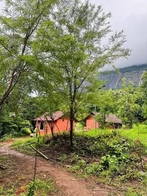 a tree in front of a house in a field at Jungle Homes in Kollengode