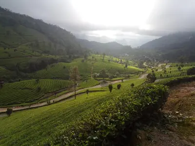 a view of a green field with a road at Jungle View Homestay Anakulam in Viripara