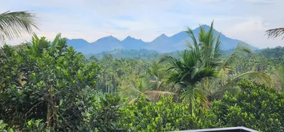 a view of a jungle with mountains in the background at Itria private pool villa in Pinangode