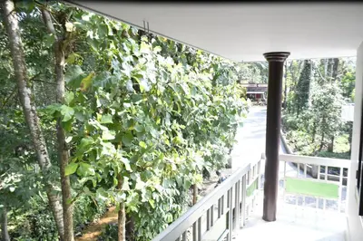 a ivy covered wall on a balcony at Pepper Nut Homestay in Thattakād