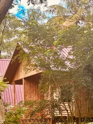 a wooden house with a tree in front of it at FAMILY RESORT MARAYOoR KANTHALLOOR in Kanthalloor