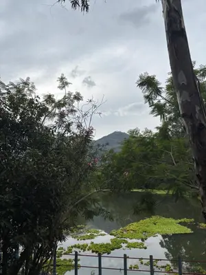 a body of water with trees and a fence at FAMILY RESORT MARAYOoR KANTHALLOOR in Kanthalloor