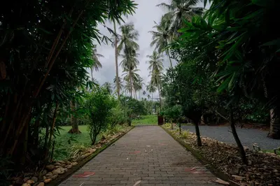 a path through a garden with palm trees at Thiraa Inn Nilambur By Hotelbuz in Nilambūr