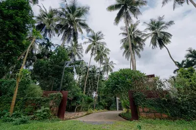 a dirt road with palm trees in the background at Thiraa Inn Nilambur By Hotelbuz in Nilambūr