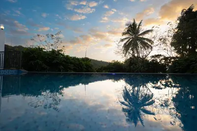 a reflection of a palm tree in a swimming pool at Lake Paradise Resort in Padinjarathara