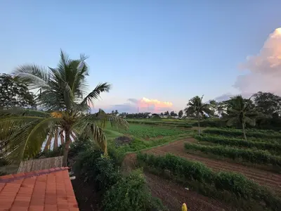 a view of a garden with palm trees at Namma Hatti, Traditional Home in Chattanahalli