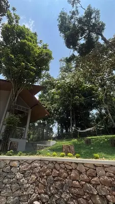 a stone wall in front of a building with trees at Lucas Rainforest in Kakkabe