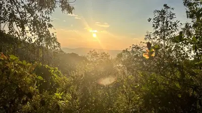 a view of a forest with the sun shining through the trees at Maanasam Farmstay - Boutique 3BR Countryside Villa, Manikkadavu in Irrity