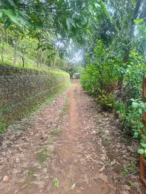 a dirt road in the middle of a forest at Maanasam Farmstay - Boutique 3BR Countryside Villa, Manikkadavu in Irrity