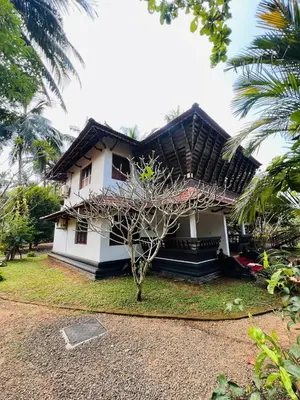 a white house with a tree in front of it at Tapovan Green County Resorts in Thattakād