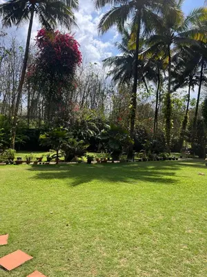 a park with palm trees and a field of grass at Tapovan Green County Resorts in Thattakād