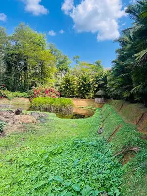 a garden with green plants on a hill at Tapovan Green County Resorts in Thattakād