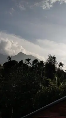 a mountain in the distance with trees and a road at Eve's Residency in Meppādi