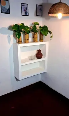 a white shelf with three potted plants on a wall at Pookie stay athirapilly in Athirappilly