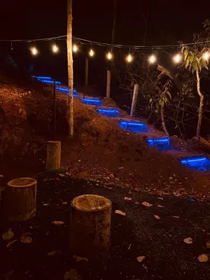 a lit up park at night with blue lights at Bambus Alley in Wayanad