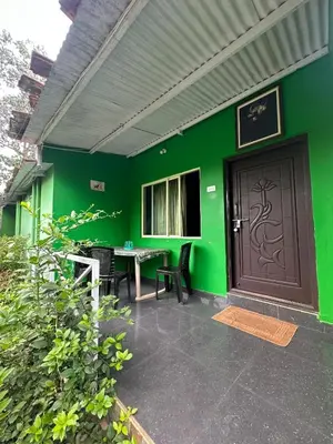 a green wall with a door and a table and chairs at The Big Cat's Den - Maravakandy Resort, Masinagudi in Masinagudi