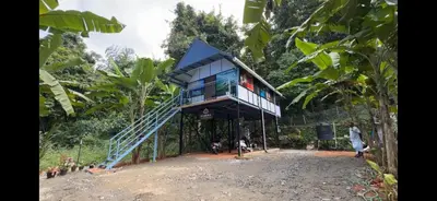 a tree house in the middle of a forest at damora in Mannārakkāt