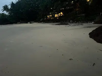 a view of a beach at night at Rocks beach house in Kannur