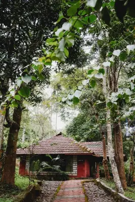 a red building in the middle of a forest at Misty Night Wayanad Pool Resort in Wayanad