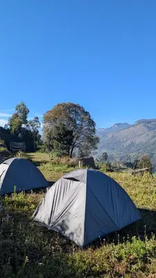 two tents in a field with trees in the background at EKa Forest in Vattavada