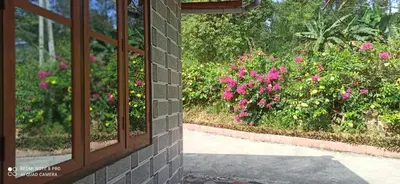 a window view of a garden with pink flowers at Bakka house of joy in Napoklu