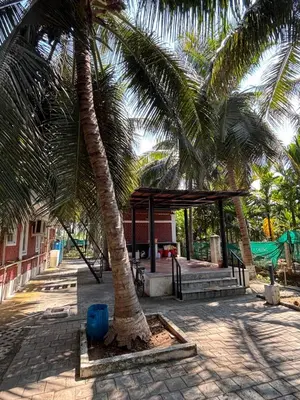 a palm tree sitting in front of a building at SARA fARM STAY