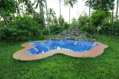 a painting of a fish on the grass at DJ River Meadows Resort in Wayanad