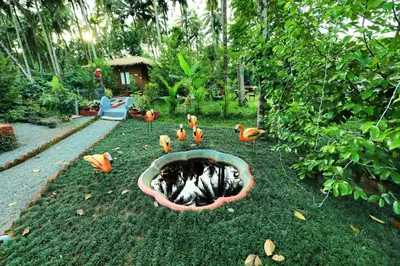 a group of birds on the grass in a garden at DJ River Meadows Resort in Wayanad