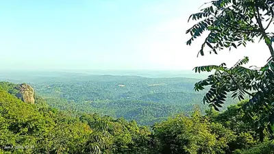 a view of a valley from a mountain with trees at Naturia in Ambalavayal