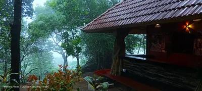 a view of a forest with a building and trees at Naturia in Ambalavayal