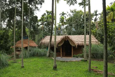 a house with a thatched roof in a forest at Vihara Mudcamp in Marayoor