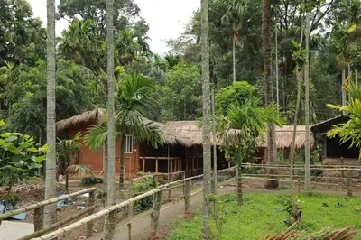 a house in the middle of a forest at Vihara Mudcamp in Marayoor