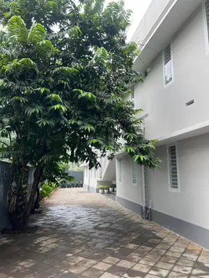 a tree in the middle of a road next to a building at Star Guest House
