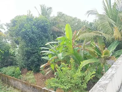 a garden with palm trees and other plants at Shield Guest Accommodation in Pudunagaram