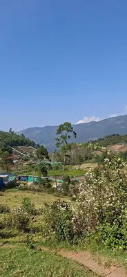 a view of a field with a tree in the distance at Dadysmud house in Kottakamboor