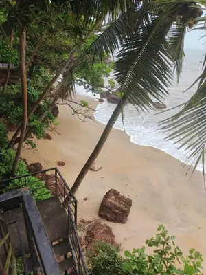 an overhead view of a beach with a palm tree at Perch by the sea 2 in Kannur