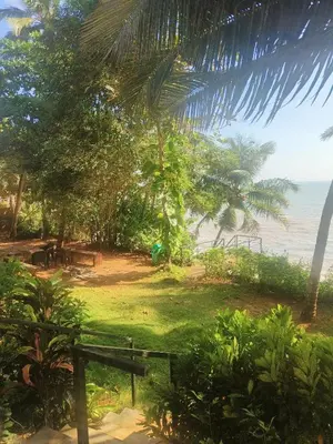 a view of a beach with trees and the ocean at Perch by the sea 2 in Kannur