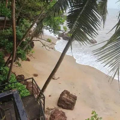 Perch by the sea 2