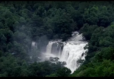 a waterfall in the middle of a forest at Munnar Wood valley in Munnar
