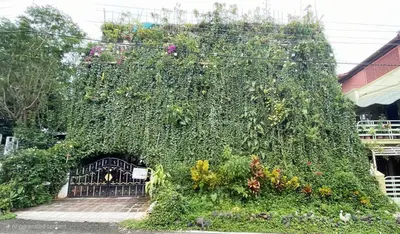 a large ivy covered building with a gate and flowers at Eden Garden Homestay in Mysore