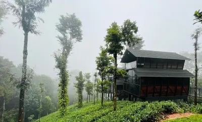 a house on top of a hill with trees at Fresh Wave Resort And Pool Villa Soochipara in Meppādi
