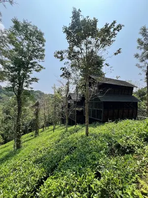 a building on top of a hill with trees at Fresh Wave Resort And Pool Villa Soochipara in Meppādi