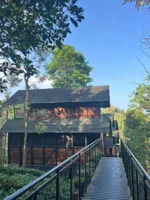 a house with a wooden walkway leading to it at Fresh Wave Resort And Pool Villa Soochipara in Meppādi