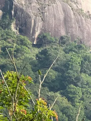 a view of a forest with a mountain in the background at Luxury Villa in Wayanad Hills with Private Garden in Wayanad