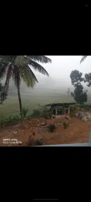 a building on a hill with a palm tree at Nagesh paikera biligeri in Madikeri