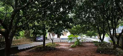 a car parked on a street with trees at Leela cottage in Kozhikode