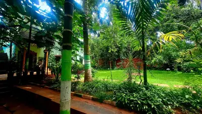 a view of a garden with palm trees at NesaraVana - Ecostay in Hārohalli