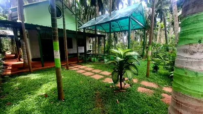 a house with a palm tree in the yard at NesaraVana - Ecostay in Hārohalli