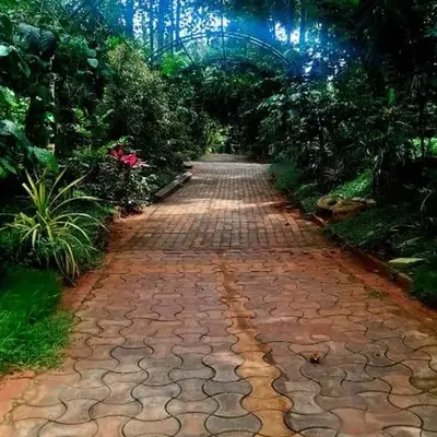 NesaraVana - Ecostay